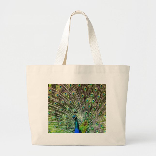 Stunning Peacock  and feathers photo accessories Large Tote Bag (Front)