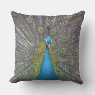 Stunning Peacock Cushion