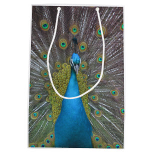 Stunning Peacock Medium Gift Bag