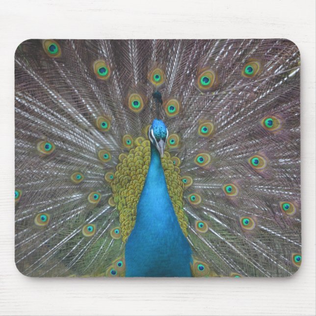 Stunning Peacock Mouse Pad (Front)