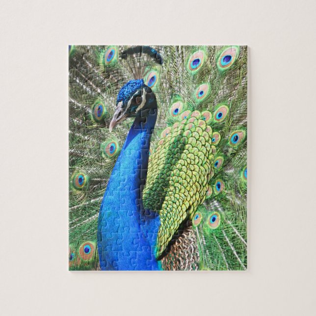 Stunning Peacock Photo Jigsaw Puzzle (Vertical)