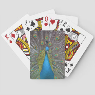 Stunning Peacock Playing Cards