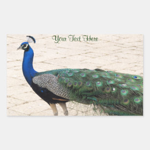 Stunning Peacock Rectangular Sticker