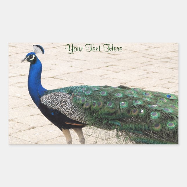 Stunning Peacock Rectangular Sticker (Front)