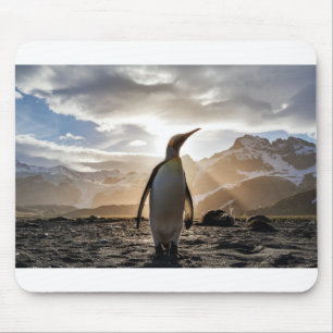 Stunning picture of a penguin mouse pad