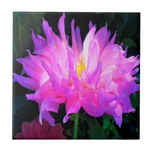 Stunning Pink and Purple Cactus Dahlia Ceramic Tile