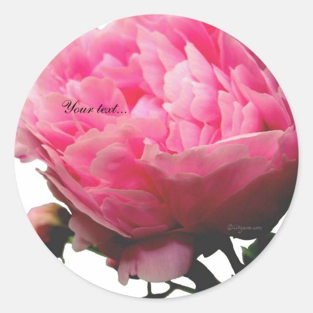 Stunning Pink Peony Custom Envelope Seals (Front)