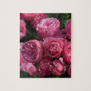 Stunning Pink Roses Jigsaw Puzzle