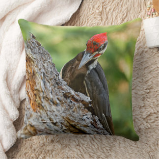 Stunning Portrait of Pileated Woodpecker in Tree Cushion