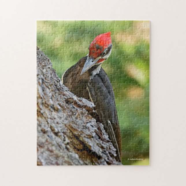 Stunning Portrait of Pileated Woodpecker on Tree Jigsaw Puzzle (Vertical)