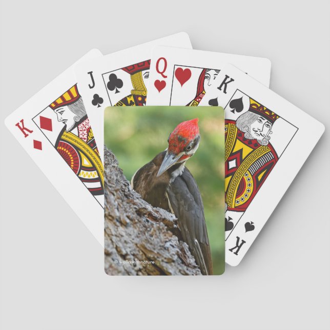Stunning Portrait of Pileated Woodpecker on Tree Playing Cards (Back)