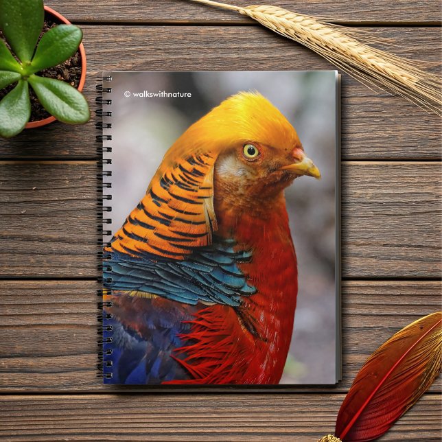 Stunning Profile of a Red Golden Pheasant Notebook (Profile of a Red Golden Pheasant Journal Cover Photo)