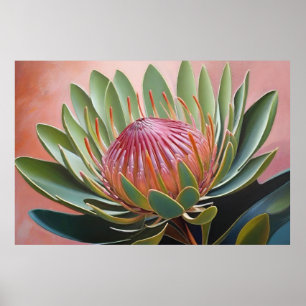 Stunning Protea Painting Vibrant Floral Poster