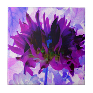 Stunning Purple and Black Cactus Dahlia Ceramic Tile