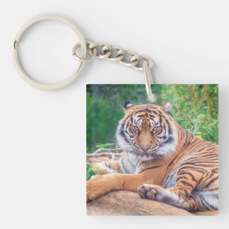 Stunning Reclining Tiger Photograph Key Ring