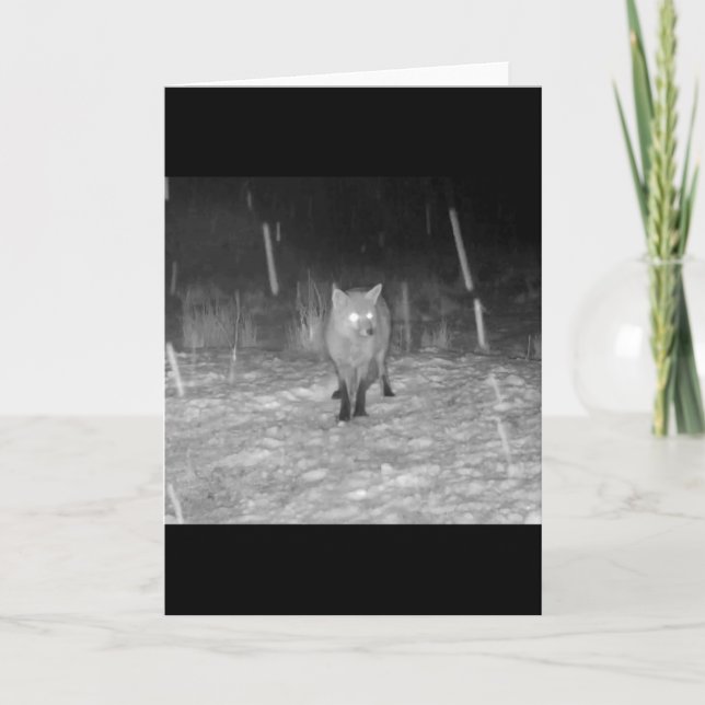 Stunning Red Fox in Snow Winter Field Wildlife Art Card (Front)