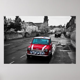 Stunning Red Mini Poster