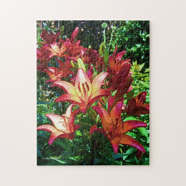 Stunning Red Orange Asiatic Lilies Flowers Jigsaw Puzzle (Vertical)