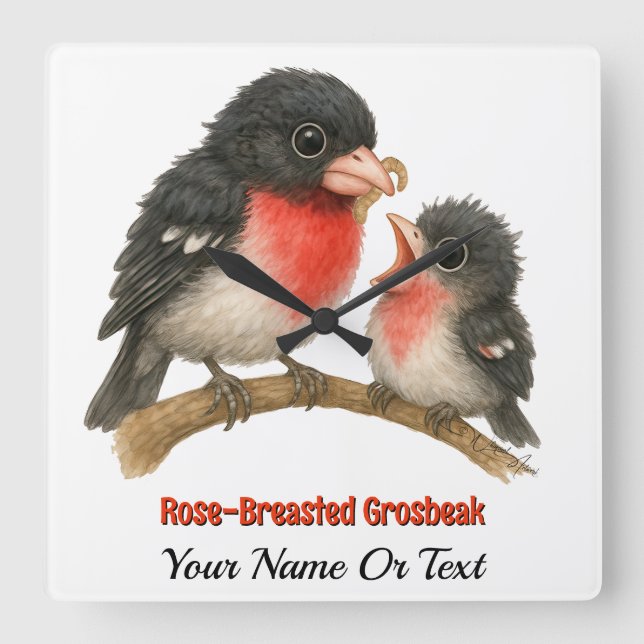 Stunning Rose Breasted Grosbeak Square Wall Clock (Front)
