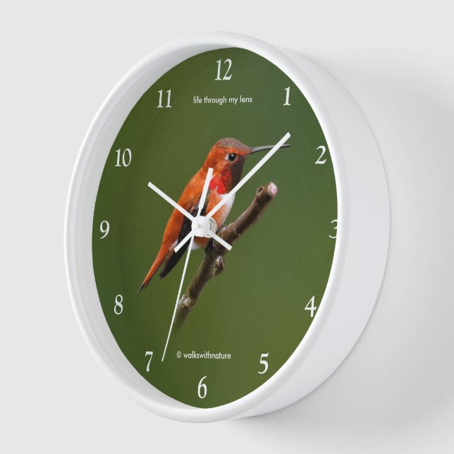 Stunning Rufous Hummingbird on the Cherry Tree Clock (Angle)