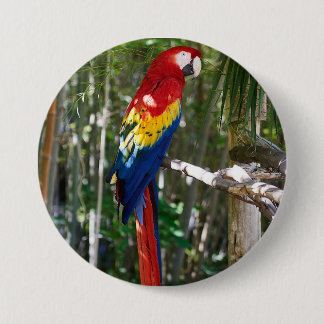 Stunning Scarlet Macaw Parrot 7.5 Cm Round Badge