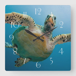 Stunning sea turtle square wall clock