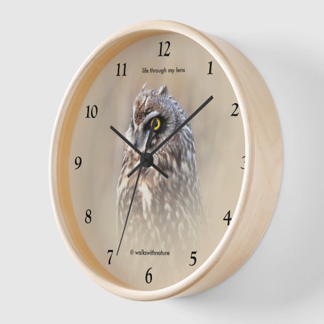 Stunning Short-Eared Owl in Marshes Clock (Angle)