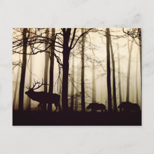Stunning silhouette of stag postcard