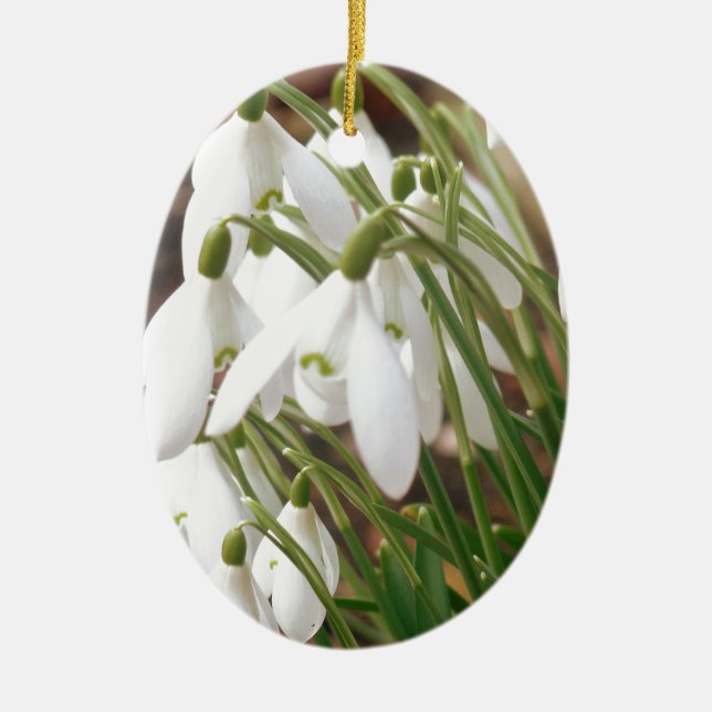 Stunning Snowdrops Ceramic Ornament (Front)