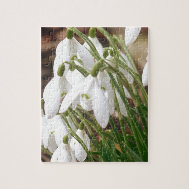 Stunning Snowdrops Jigsaw Puzzle (Vertical)