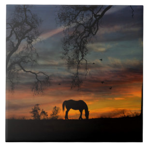 Stunning Southwestern Horse Art Tile