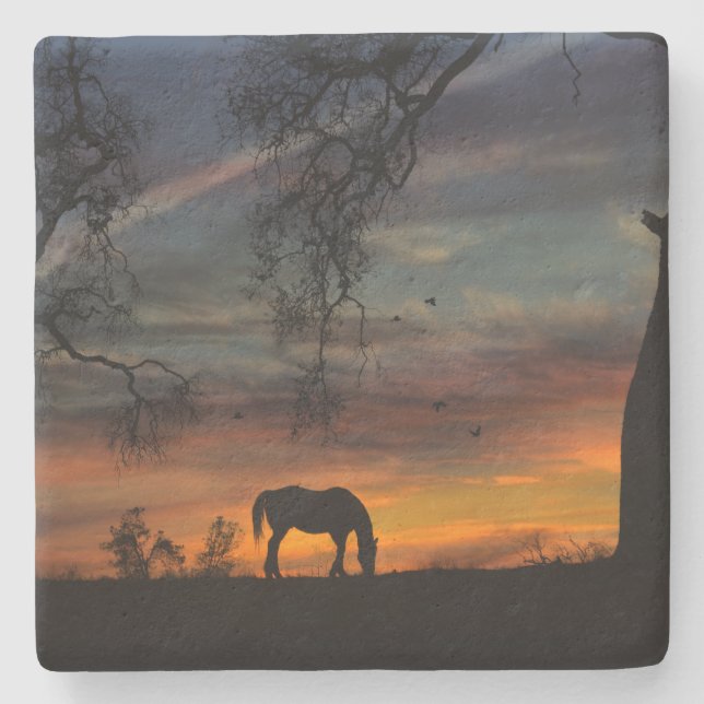 Stunning Southwestern Horse Coasters (Front)