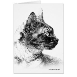 Stunning Stella the Gray Cat One Fine Feline