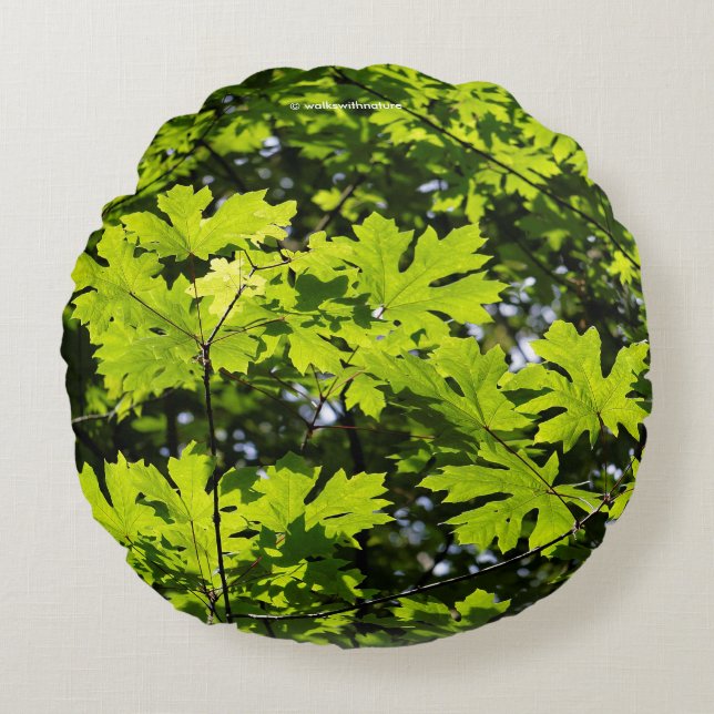 Stunning Sun-Dappled Leaves in Forest Round Cushion (Front)