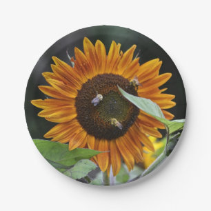 Stunning Sunflower Paper Plate
