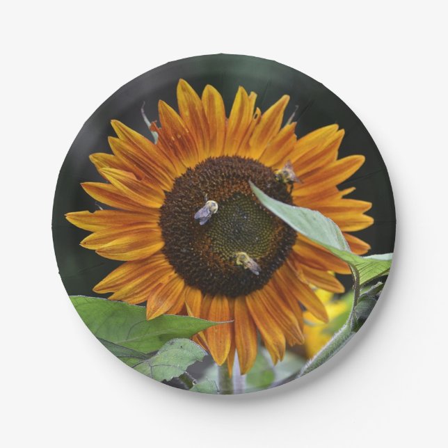 Stunning Sunflower Paper Plate (Front)