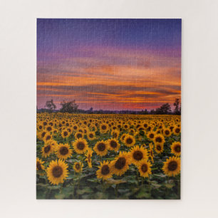 Stunning Sunset Puzzle