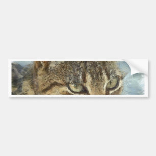 Stunning Tabby Cat Close Up Graphite Pencil Portra Bumper Sticker