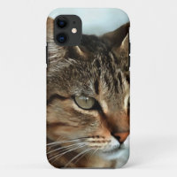 Stunning Tabby Cat CloseUp Artistic Portrait