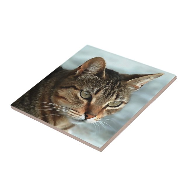 Stunning Tabby Cat CloseUp Artistic Portrait Ceramic Tile (Side)