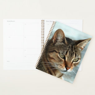 Stunning Tabby Cat CloseUp Artistic Portrait Planner