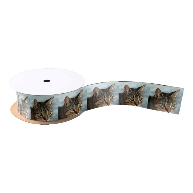 Stunning Tabby Cat CloseUp Artistic Portrait Satin Ribbon (Spool)