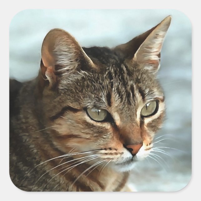 Stunning Tabby Cat CloseUp Artistic Portrait Square Sticker (Front)