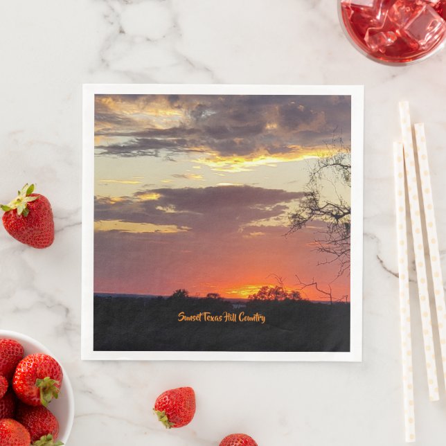 Stunning Texas Sunset Paper Napkin Party Supply (Insitu)