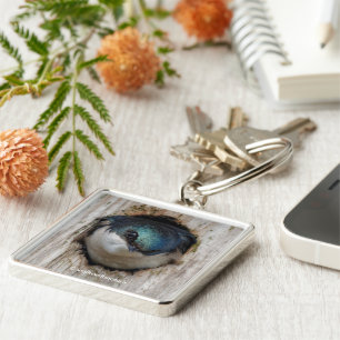 Stunning Tree Swallow Songbird in Nestbox Key Ring