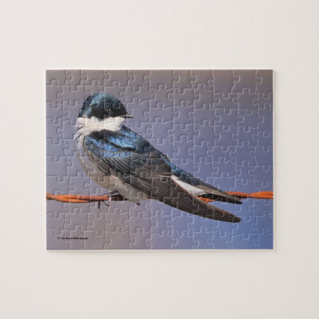Stunning Tree Swallow Songbird on the Wire Jigsaw Puzzle (Horizontal)
