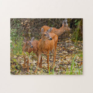 Stunning Trio of Blacktail Deer in the Forest Jigsaw Puzzle