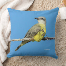 Stunning Tropical Kingbird on Blackberry Branch