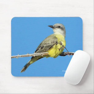 Stunning Tropical Kingbird on Blackberry Branch Mouse Pad