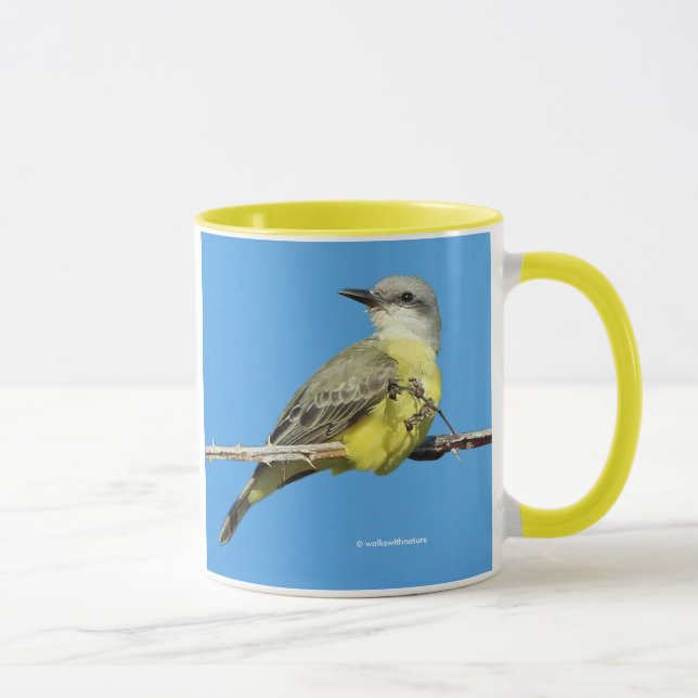 Stunning Tropical Kingbird on Blackberry Branch Mug (Right)